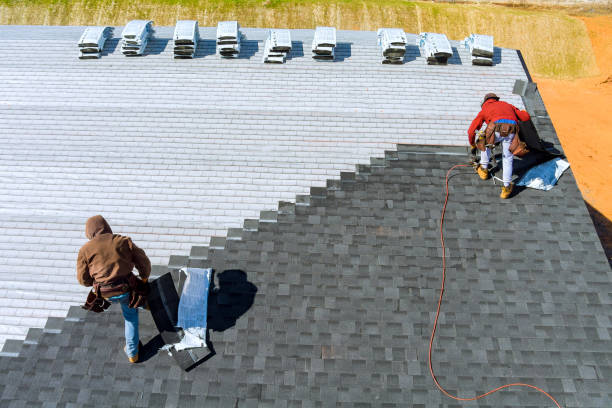 Best Metal Roofing Contractor  in Big Rapids, MI
