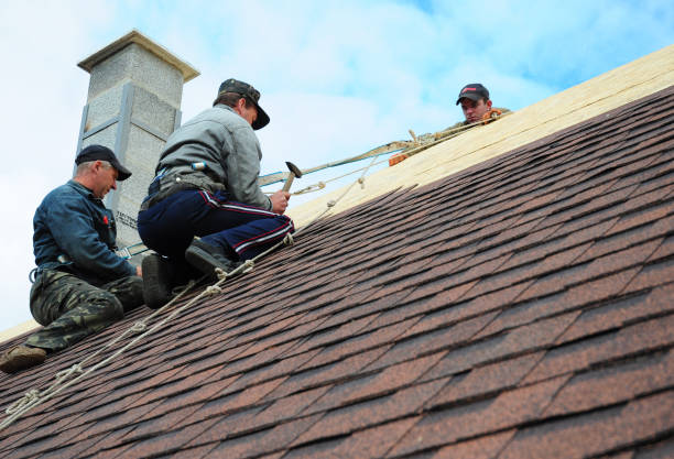 Best Sealant for Roof  in Big Rapids, MI
