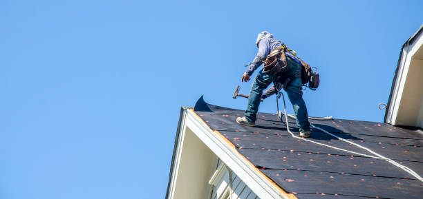 Best Commercial Roofing Services  in Big Rapids, MI